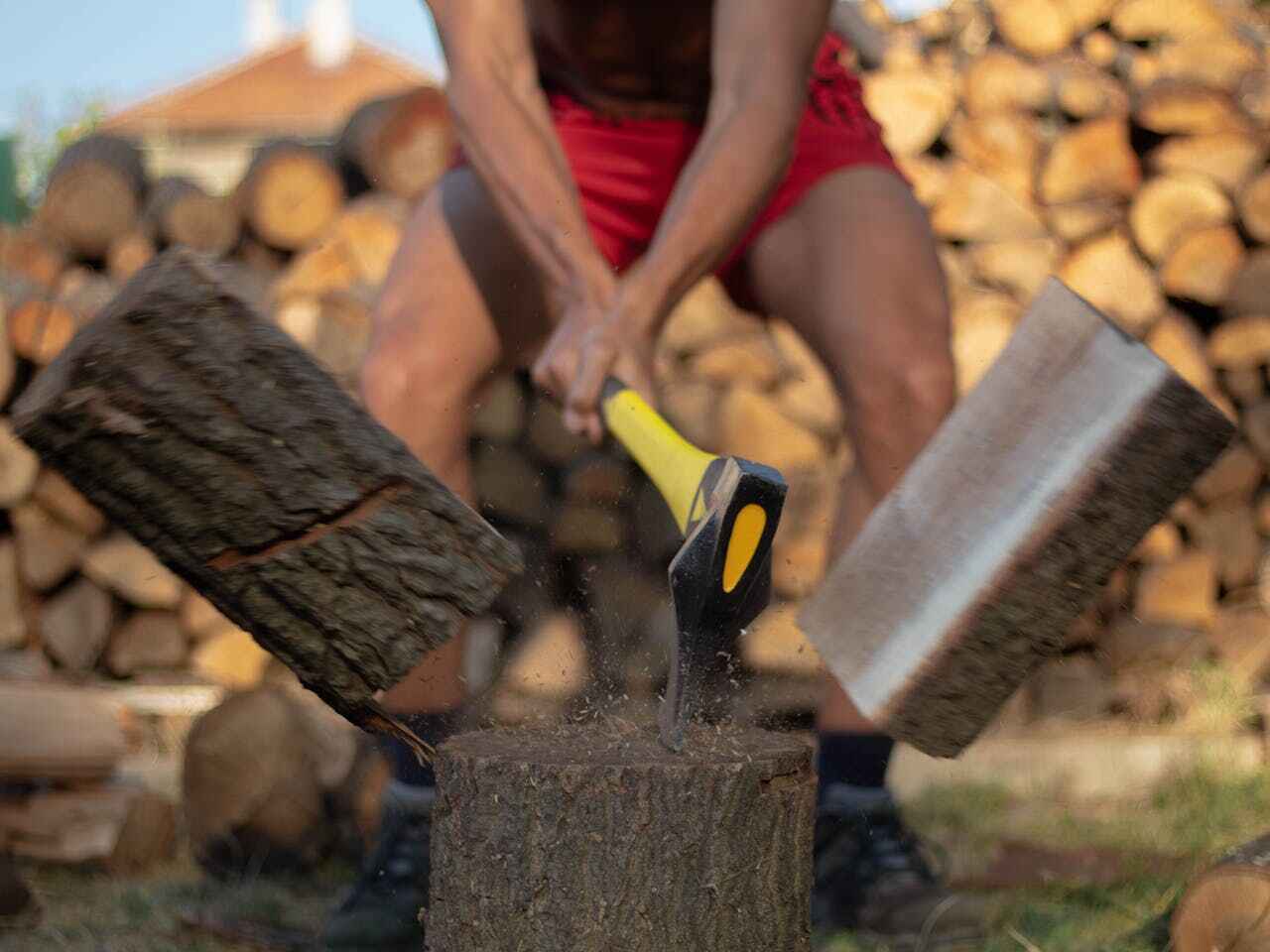 Best Tree Trimming Near Me  in Cowarts, AL